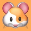 51tvAPPAPP应用
