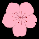 菠萝TVAPP应用