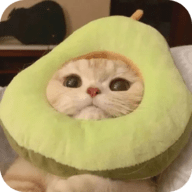 天天美丽视频APP应用